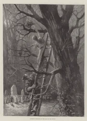 Mistelzweige sammeln in den Tagen der Druiden